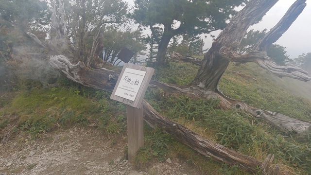 日本百名山 剣山 日本百名山 剣山
