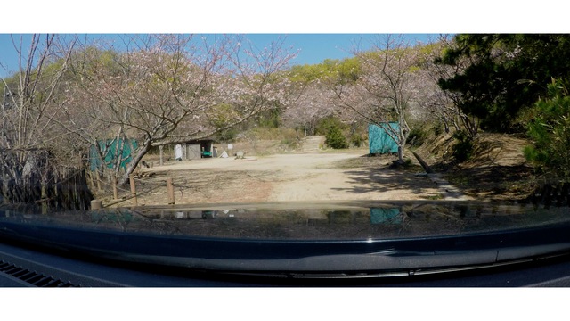 お花見キャンプ 〜女木島野営場〜 お花見キャンプ 〜女木島野営場〜