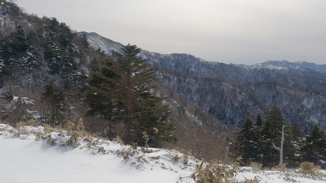 厳冬期の剣山 〜敗退記〜 厳冬期の剣山 〜敗退記〜