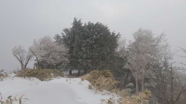 厳冬期の剣山 〜敗退記〜 厳冬期の剣山 〜敗退記〜