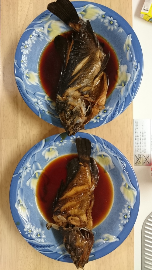 越前海岸でメバリング新規P開拓(2/2) 越前海岸でメバリング新規P開拓(2/2)