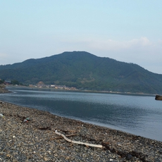 8月14日、福井県でキス釣りとアオリイカ調査！！