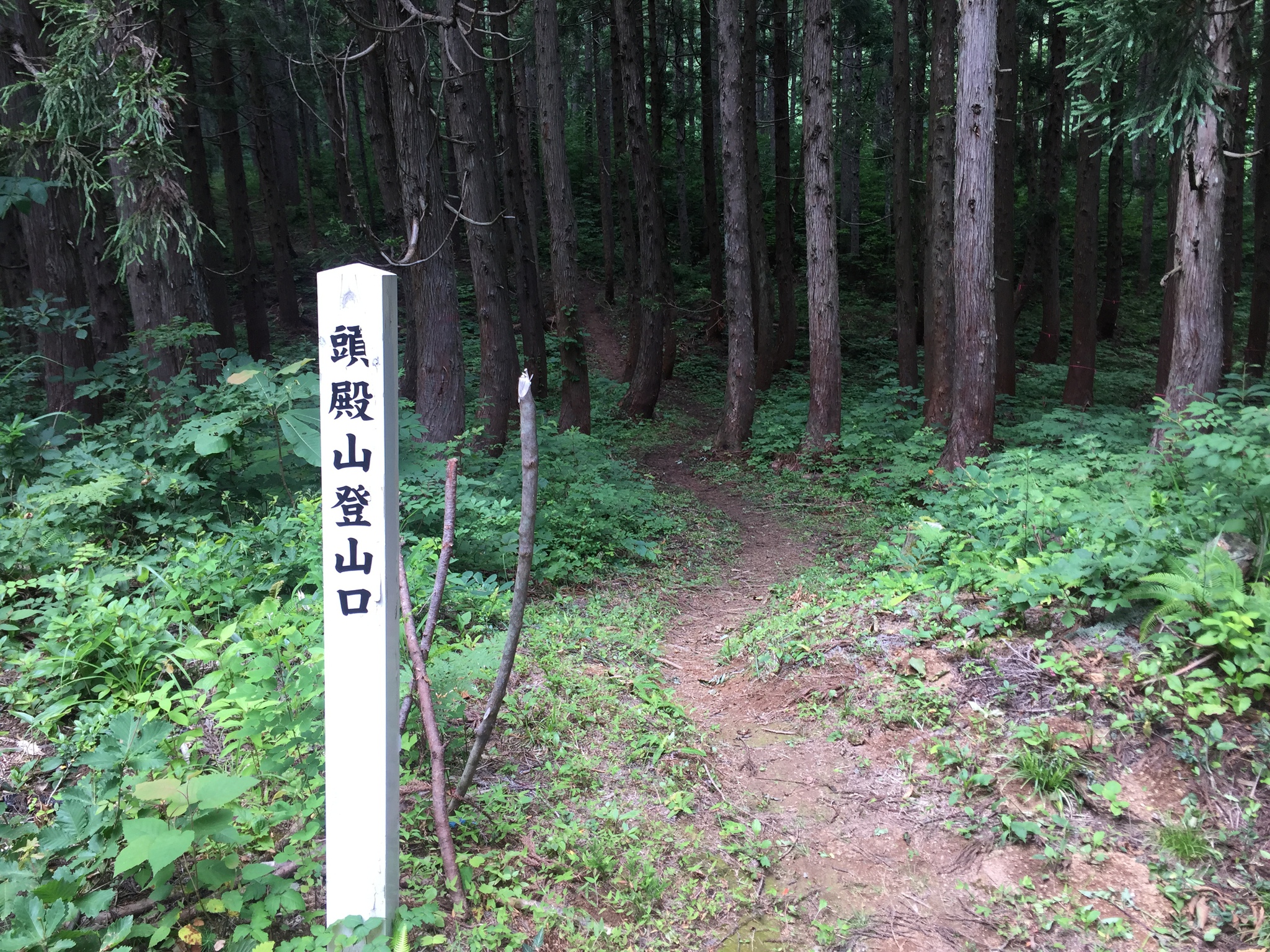 頭殿山の下見 頭殿山の下見