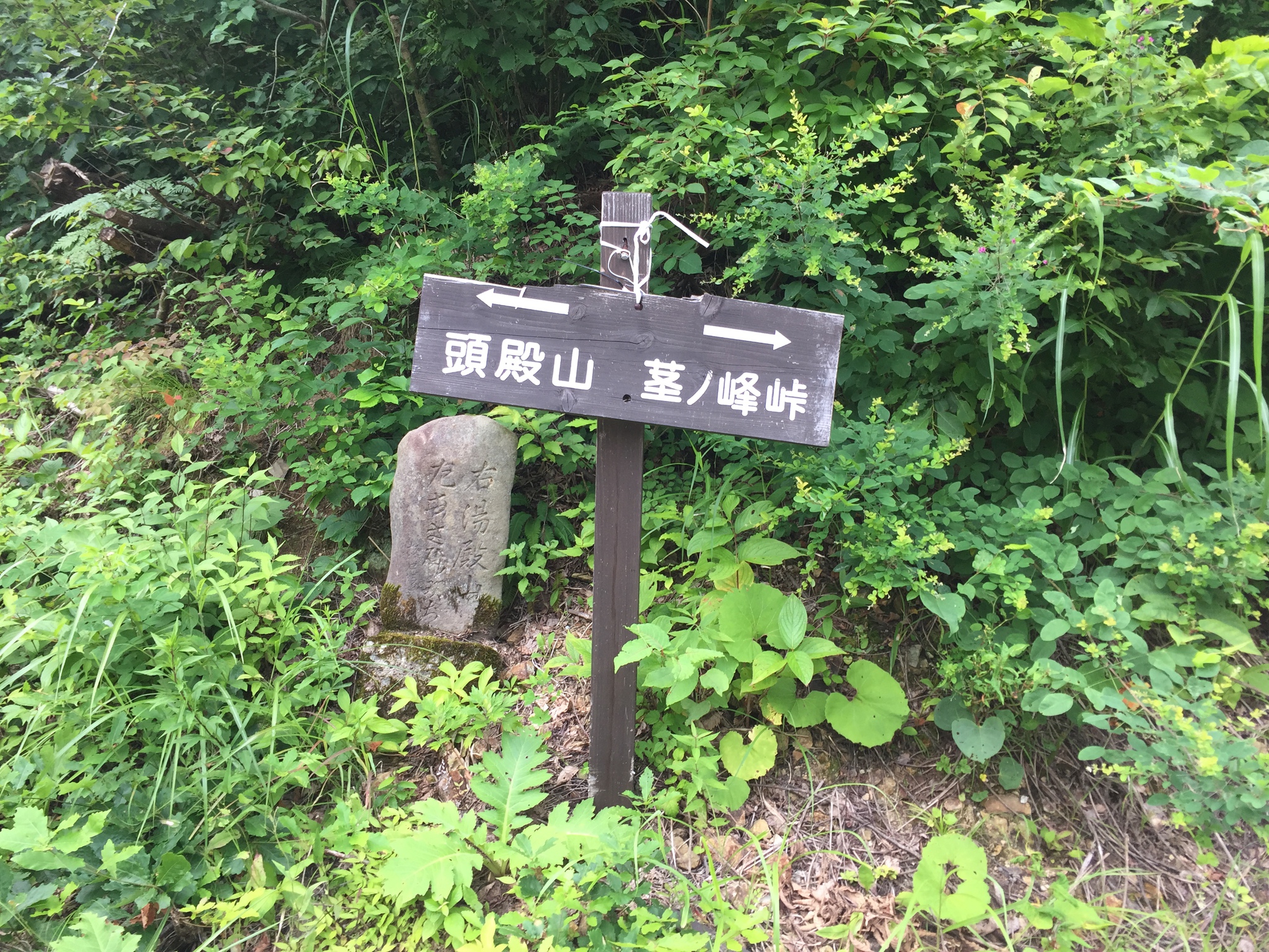 頭殿山の下見 頭殿山の下見