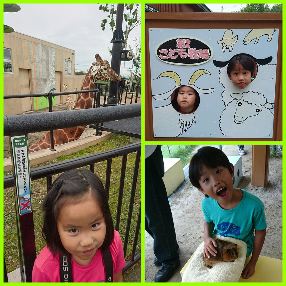 北海道キャンプ旅行⑥～旭山動物園から富良野、小樽、そして帰宅
