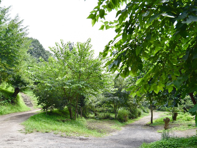 くりの木キャンプ場でロングデイキャンプ くりの木キャンプ場でロングデイキャンプ