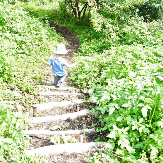 くりの木キャンプ場でロングデイキャンプ くりの木キャンプ場でロングデイキャンプ
