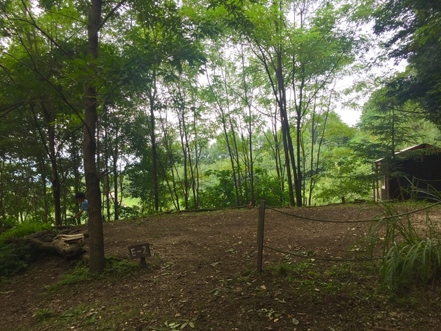 くりの木キャンプ場でロングデイキャンプ くりの木キャンプ場でロングデイキャンプ