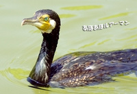 薬師池公園にて 【お散歩】
