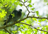 薬師池公園にて 【お散歩】