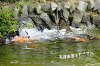 薬師池公園にて 【お散歩】