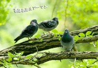 薬師池公園にて 【お散歩】