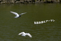 薬師池公園にて 【お散歩】