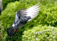 薬師池公園にて 【お散歩】