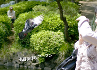 薬師池公園にて 【お散歩】