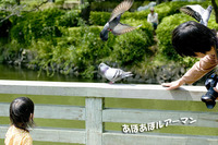 薬師池公園にて 【お散歩】