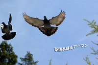薬師池公園にて 【お散歩】