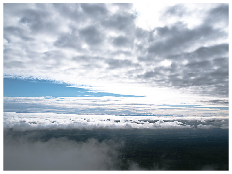 head in the cloud