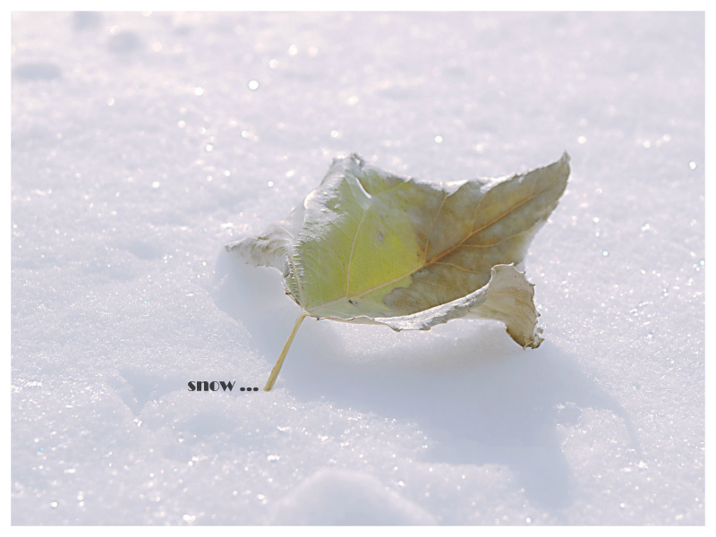 snow