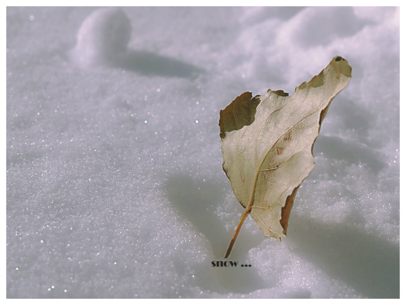 snow