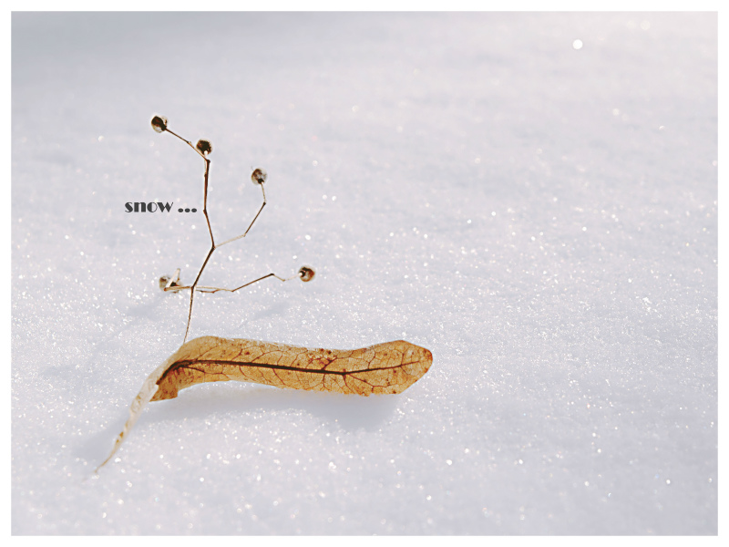 snow