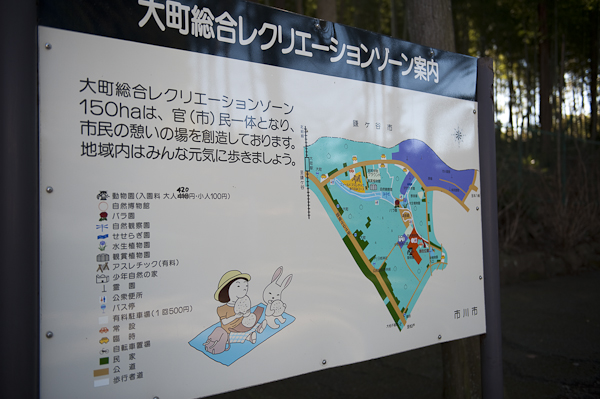お散歩