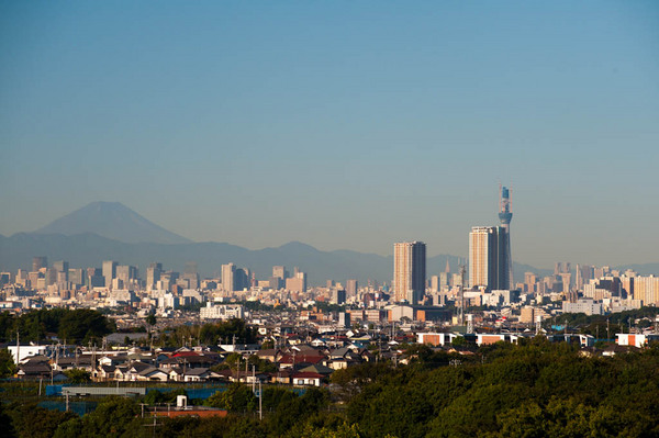 秋晴れ