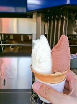 初センチュリーライド