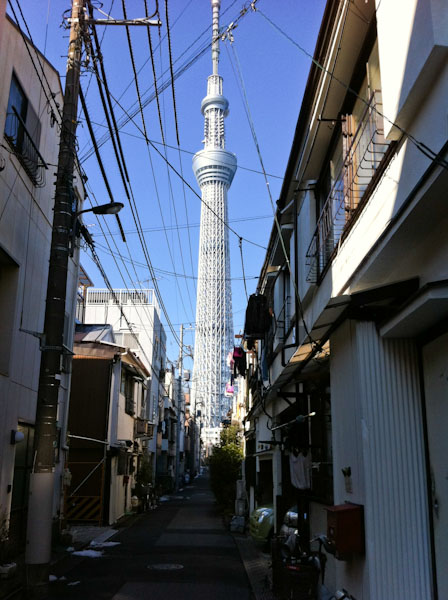 くじら食堂 スカイツリー寄り道 ポタリング