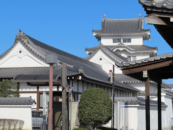 強風の江戸川CR