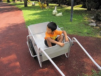 父子キャンプ @ 直川憩の森公園キャンプ場 14泊目 その弐