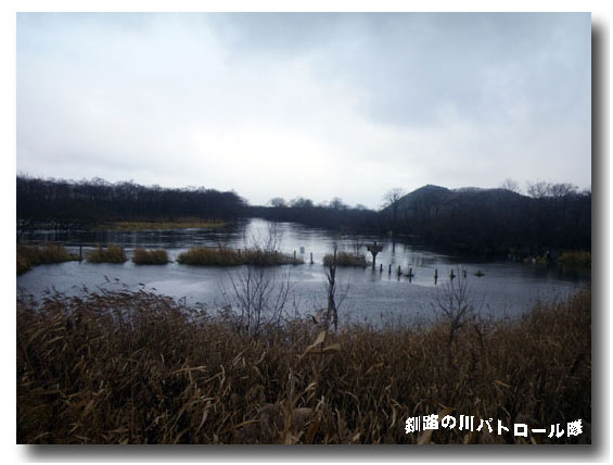 細岡1週間後