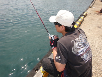 2011・梅雨入り～東京湾メバルが復調気味です↑