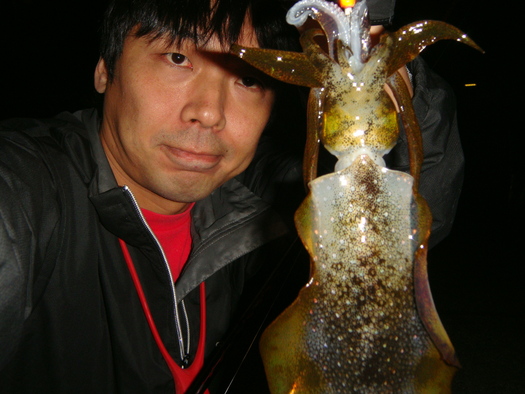 2011・東京湾・エギング・アオリイカ～今年はどうだった？