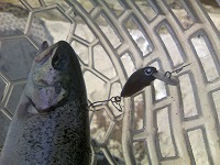 宮城アングラーズビレッジ釣行