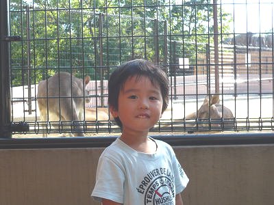 王子動物園でカンガルー