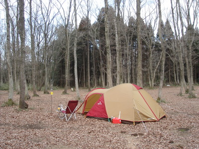 森の中でのソロキャンプ