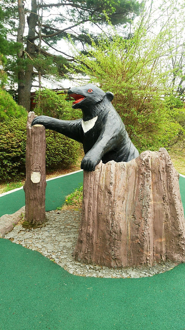 富士急Go!Go!!ヾ(゚∀゚)ノ④ゴハンのあとからゆっくり進行 富士急Go!Go!!ヾ(゚∀゚)ノ④ゴハンのあとからゆっくり進行