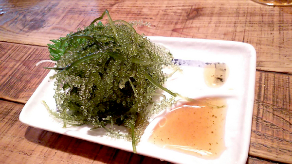 色々気になってること。 色々気になってること。