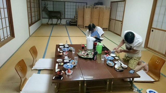 しまりす社員旅行⑤夜の宴とおいしいゴハン♪ しまりす社員旅行⑤夜の宴とおいしいゴハン♪