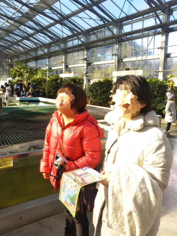 年末 恒例行事② 念願の掛川花鳥園へ☆ 年末 恒例行事② 念願の掛川花鳥園へ☆