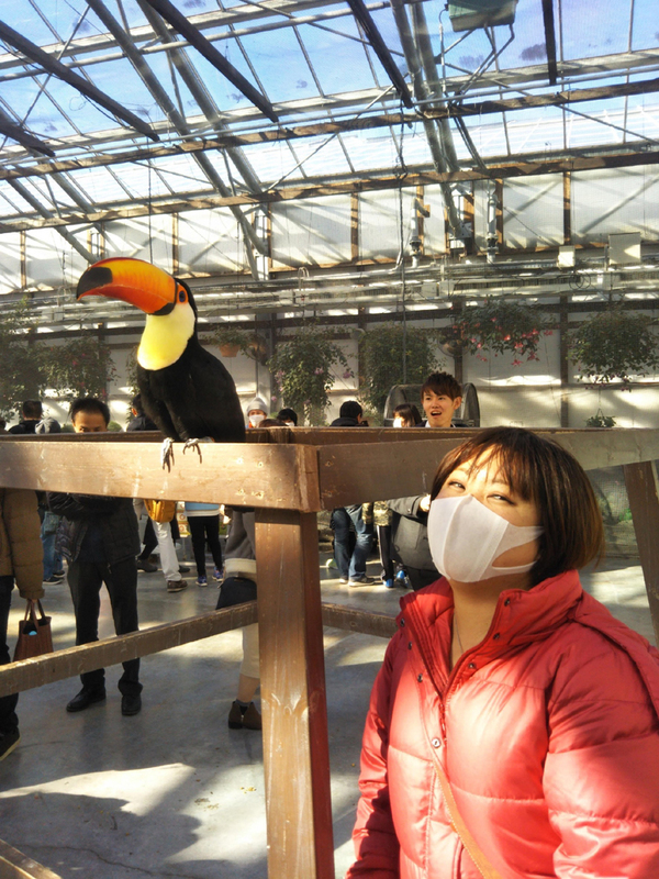 年末 恒例行事② 念願の掛川花鳥園へ☆ 年末 恒例行事② 念願の掛川花鳥園へ☆