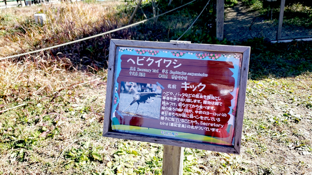年末 恒例行事② 念願の掛川花鳥園へ☆ 年末 恒例行事② 念願の掛川花鳥園へ☆