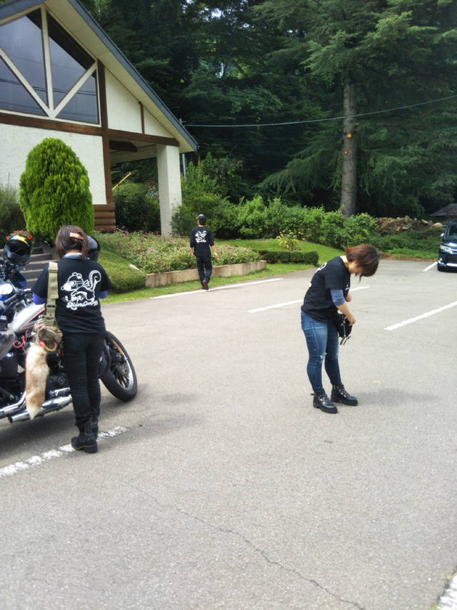【山梨編】しまりす社員旅行⑤初めての道志みち|ω・)ギュッ! 【山梨編】しまりす社員旅行⑤初めての道志みち|ω・)ギュッ!