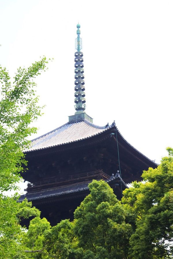 京都旅行に行ってきた♪④みっかめ。1匹旅!さよなら京都♪ 京都旅行に行ってきた♪④みっかめ。1匹旅!さよなら京都♪