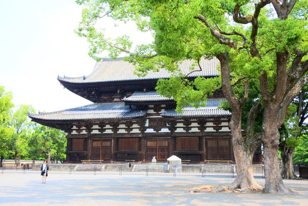 京都旅行に行ってきた♪④みっかめ。1匹旅!さよなら京都♪ 京都旅行に行ってきた♪④みっかめ。1匹旅!さよなら京都♪