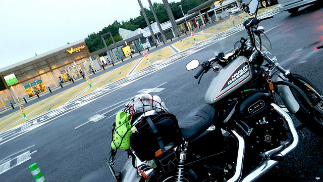 しまりす社員旅行⑦さらば友よ!また会おう しまりす社員旅行⑦さらば友よ!また会おう