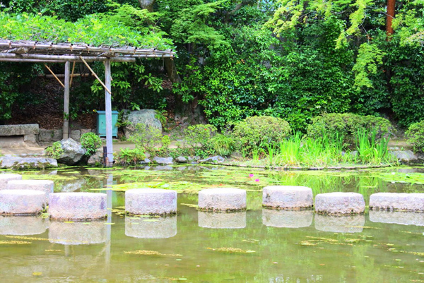 京都旅行に行ってきた♪②ふつかめ。2匹旅(笑) 京都旅行に行ってきた♪②ふつかめ。2匹旅(笑)