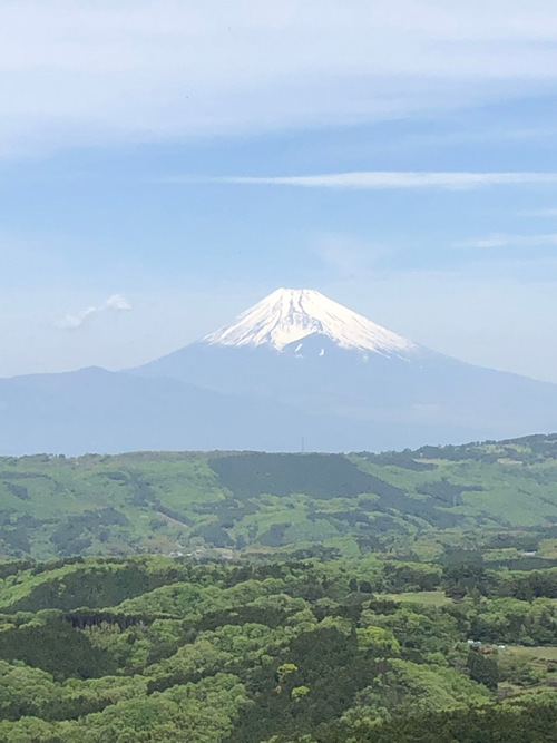 しまりす社員旅行2019GW⑤伊豆スカイライン・箱根ターンパイクを走るッ!! しまりす社員旅行2019GW⑤伊豆スカイライン・箱根ターンパイクを走るッ!!