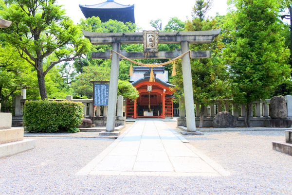 京都旅行に行ってきた♪④みっかめ。1匹旅!さよなら京都♪ 京都旅行に行ってきた♪④みっかめ。1匹旅!さよなら京都♪